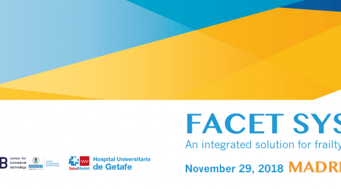 II Workshop FACET